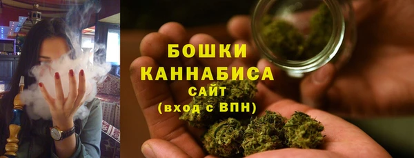 ECSTASY Липки
