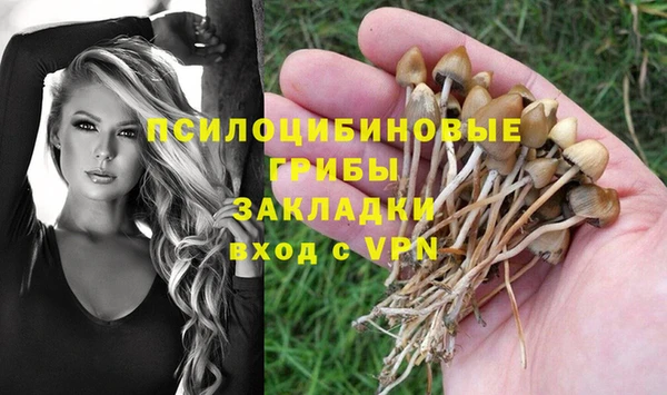 spice Лихославль