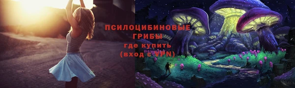 кокс Няндома