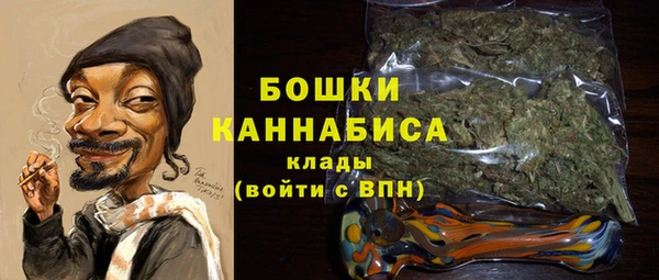ECSTASY Липки