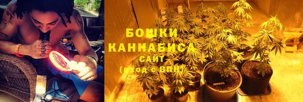 ECSTASY Липки