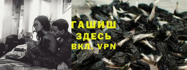 ECSTASY Липки