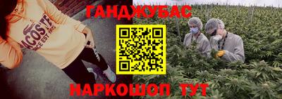 стафф Заволжье