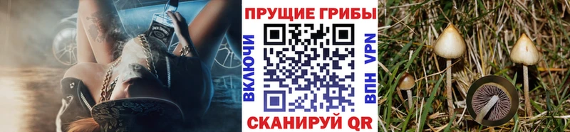 Псилоцибиновые грибы мицелий  сколько стоит  Мариинск 