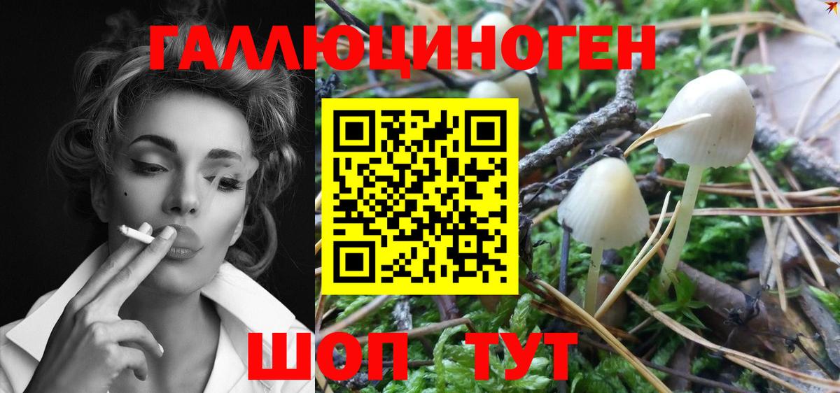 Мариинск  Галлюциногенные грибы Psilocybine cubensis  Галлюциногенные грибы Psilocybine cubensis  Вход с VPN 