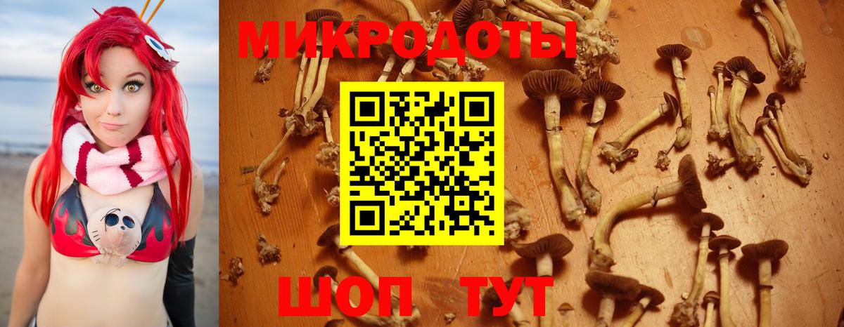 Псилоцибиновые грибы мицелий Мариинск